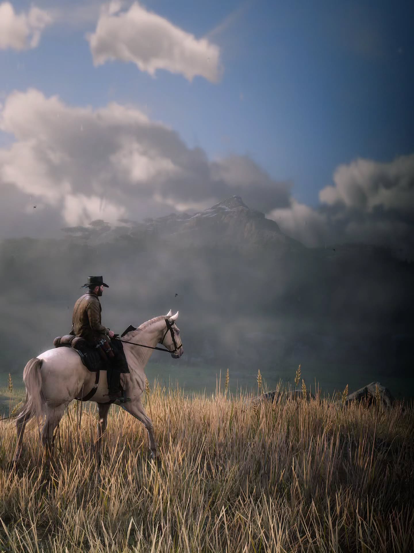 Red Dead Redemption II